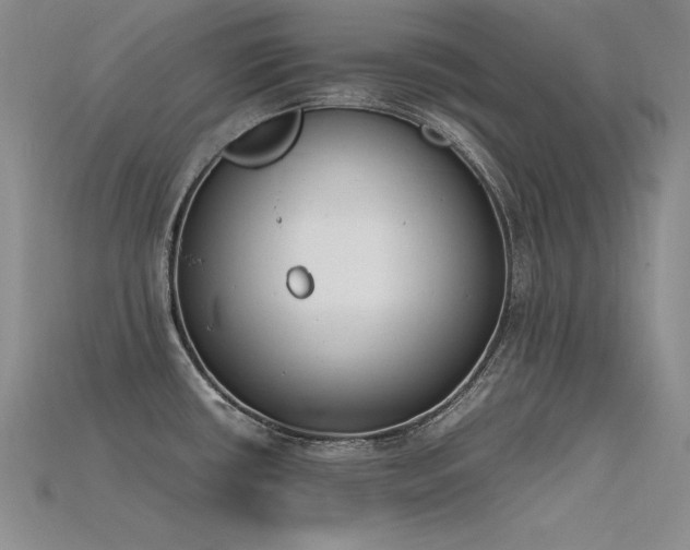 X0000115781434200911131238