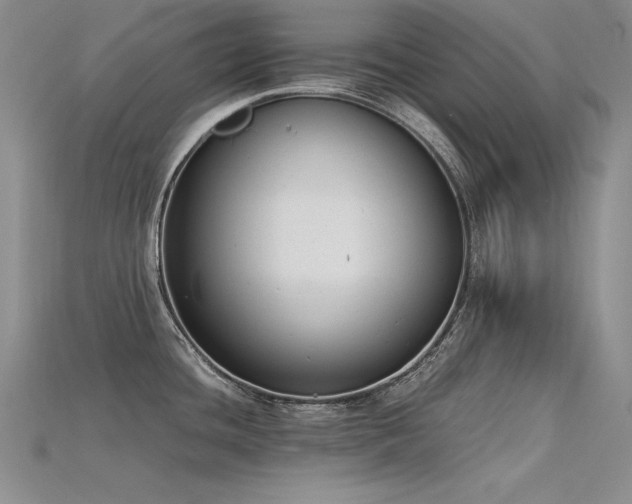 X0000115781436200911131238