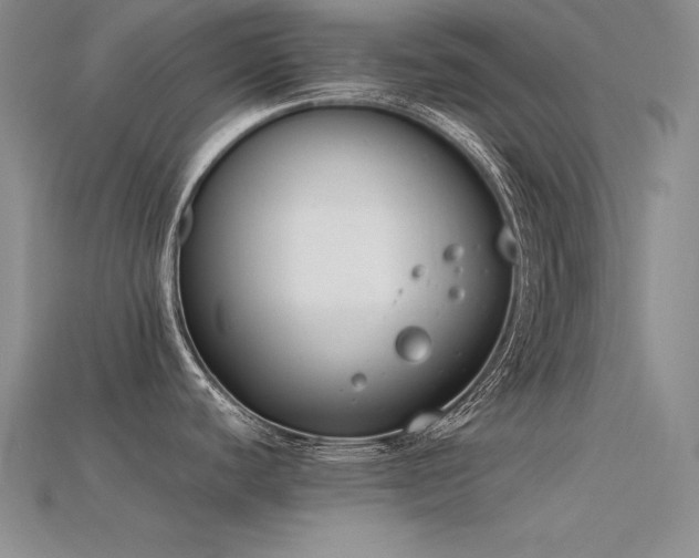 X0000115781440200911131238