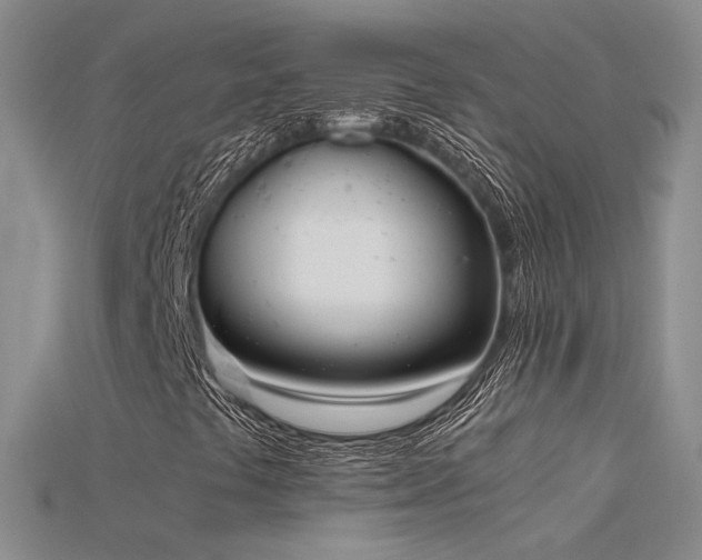 X0000115781441200911131237