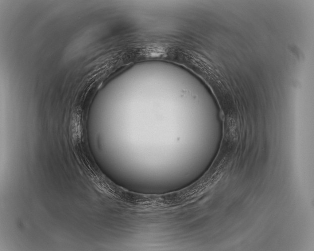 X0000115781442200911131237