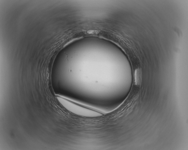 X0000115781443200911131237