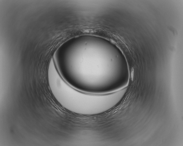 X0000115781444200911131237