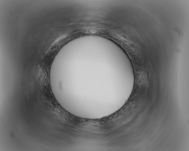 X0000115781446200911131237