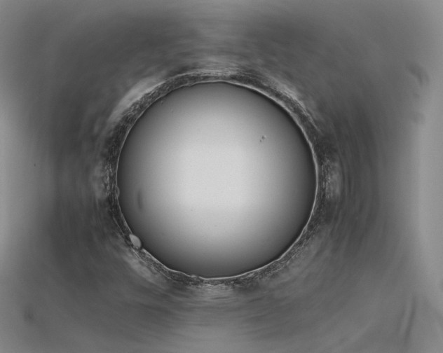 X0000115781448200911131237