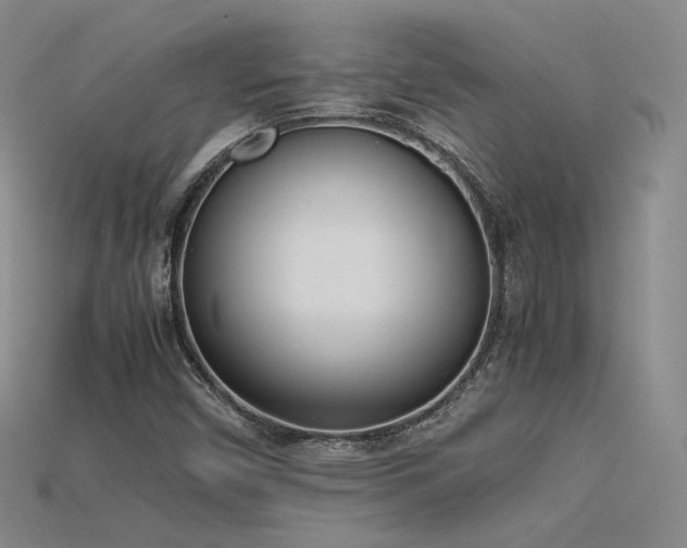 X0000115781450200911131237