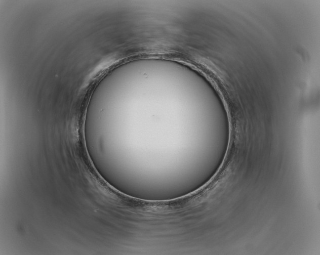 X0000115781451200911131237