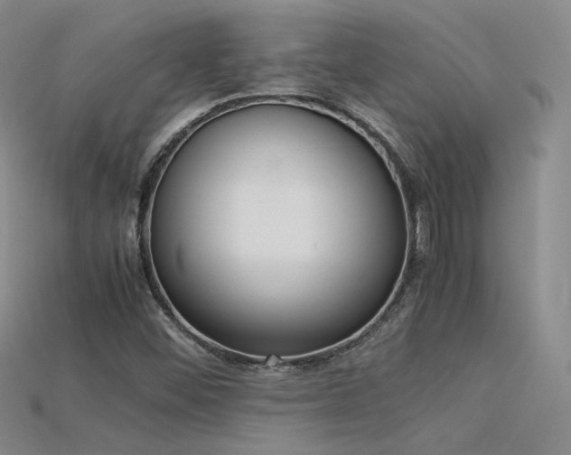 X0000115781452200911131237