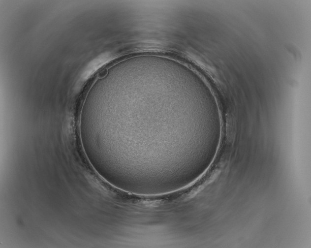 X0000115781453200911131237