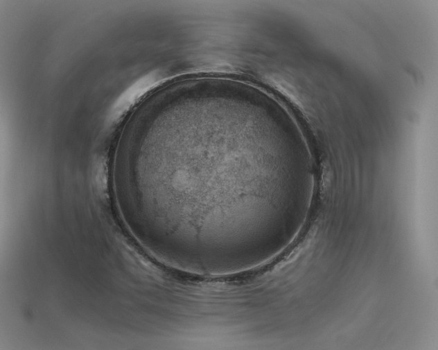 X0000115781455200911131237