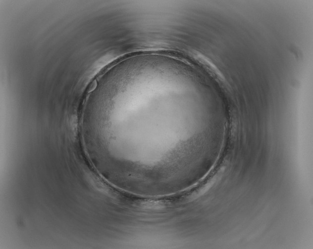 X0000115781457200911131237