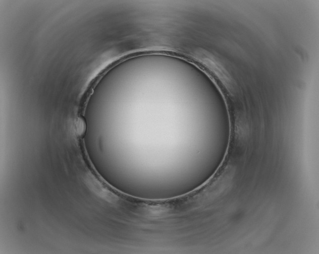 X0000115781460200911131237