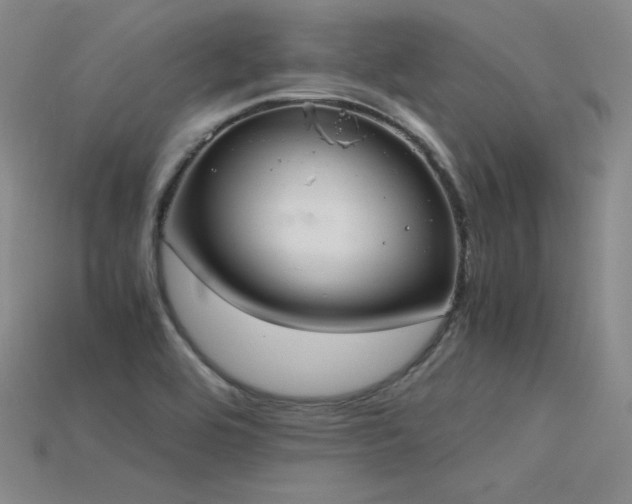 X0000115781464200911131237