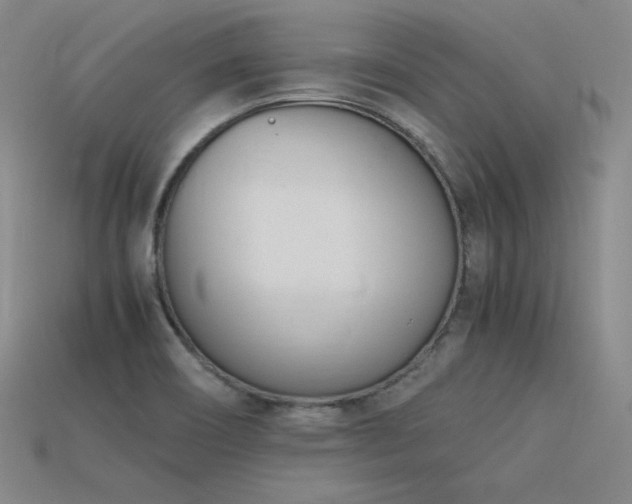 X0000115781466200911131237