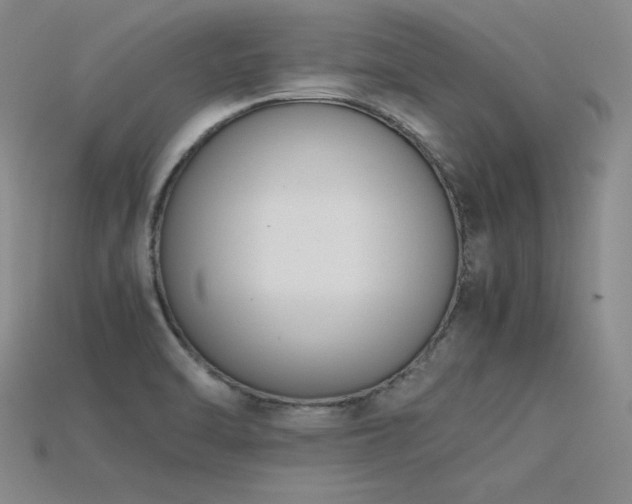 X0000115781470200911131237