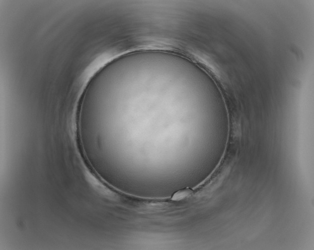 X0000115781471200911131237
