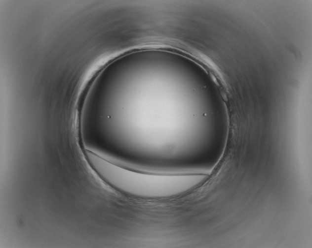 X0000115781472200911131237