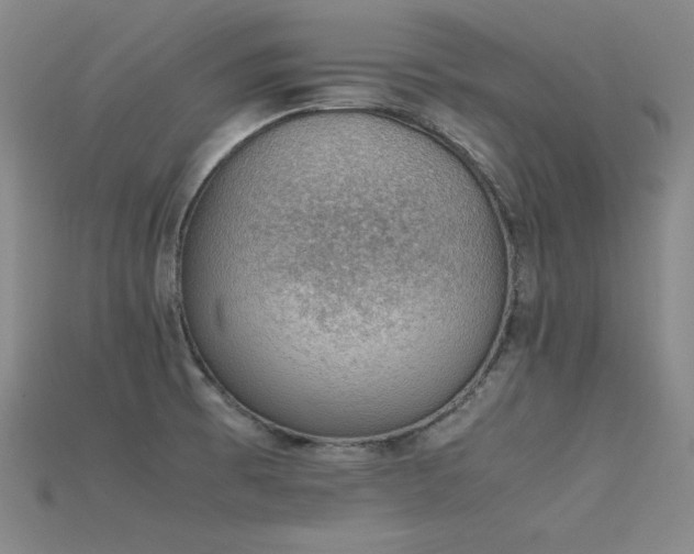 X0000115781473200911131237