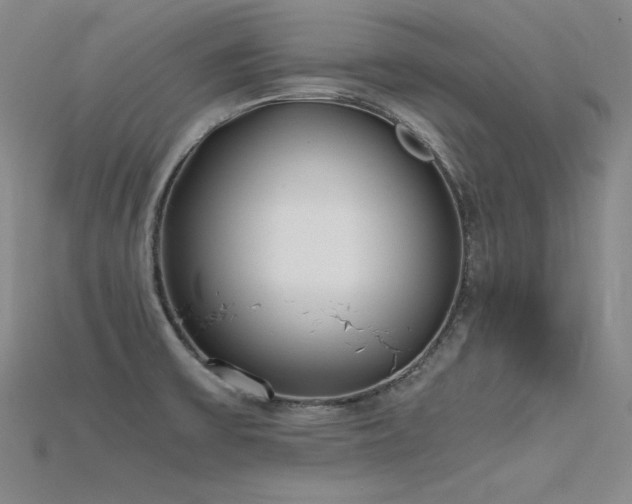 X0000115781475200911131237