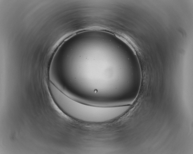X0000115781476200911131237