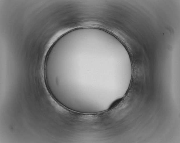 X0000115781478200911131237