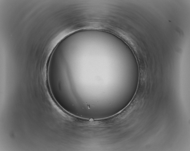 X0000115781479200911131237