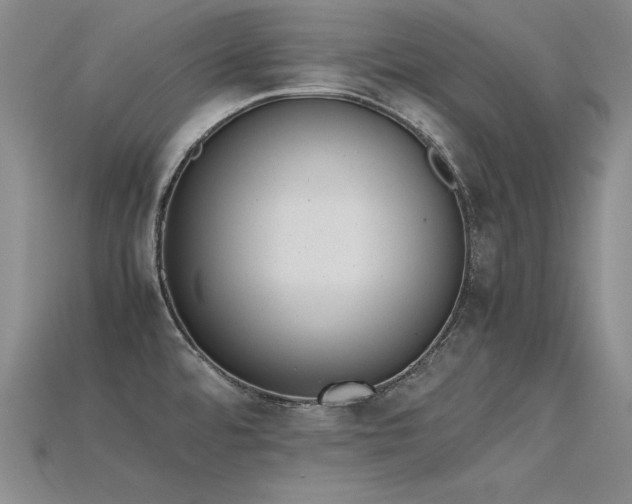 X0000115781480200911131237
