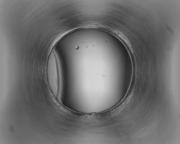 X0000115781481200911131237