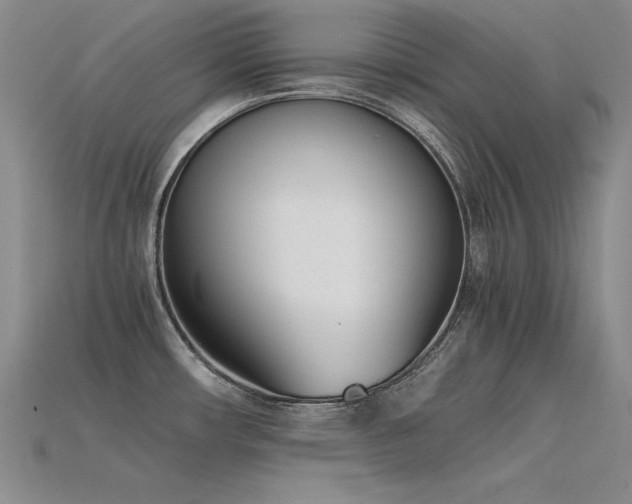 X0000115781482200911131237
