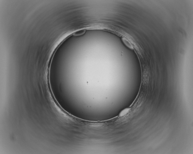 X0000115781484200911131237