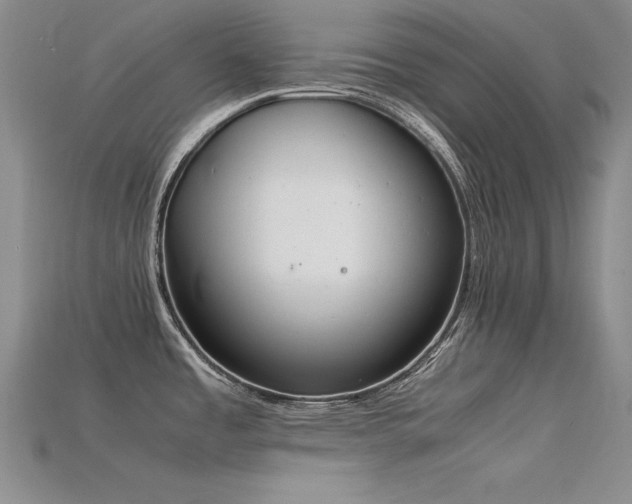 X0000115781485200911131237
