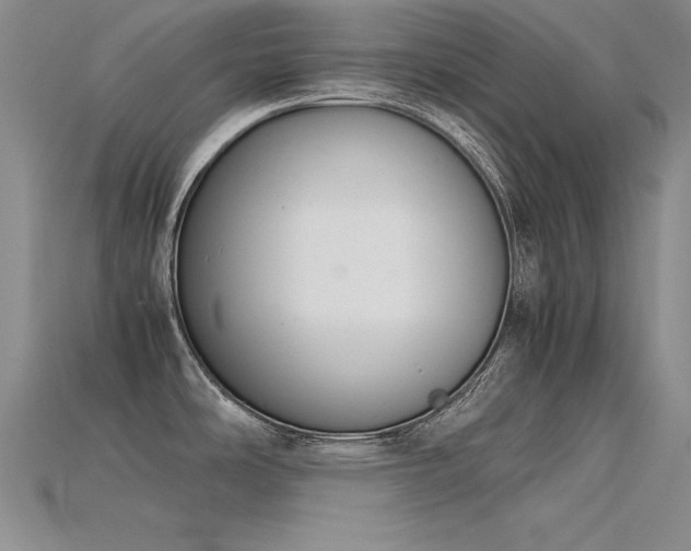 X0000115781486200911131237