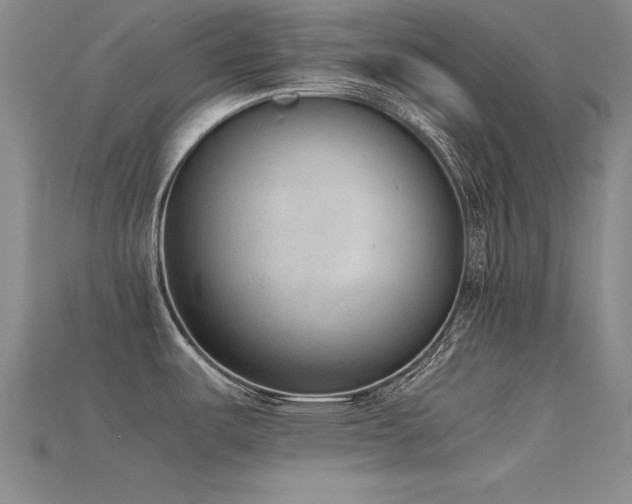 X0000115781487200911131237
