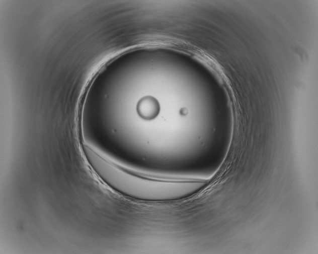 X0000115781488200911131237