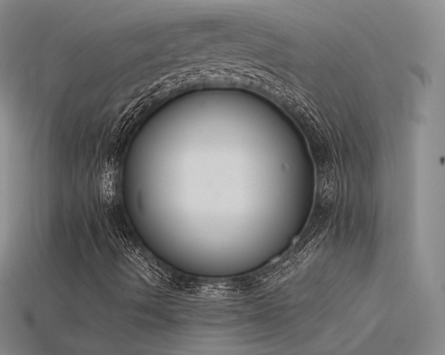 X0000115781490200911131236