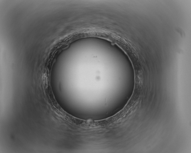X0000115781493200911131236