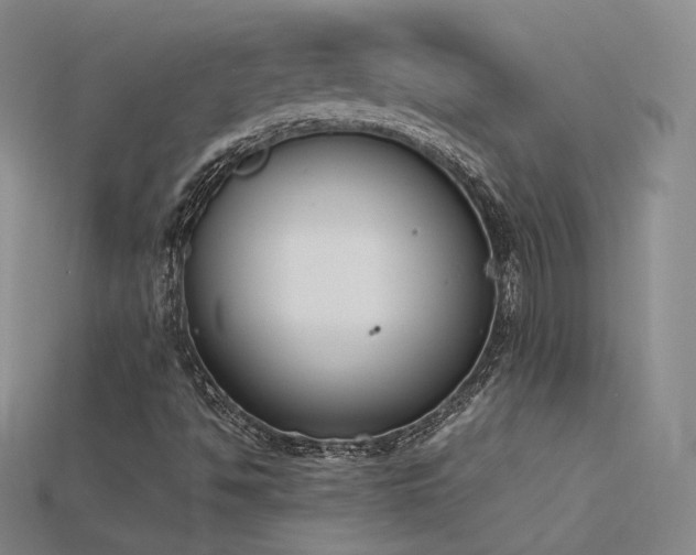 X0000115781494200911131236