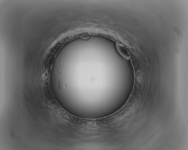 X0000115781495200911131236