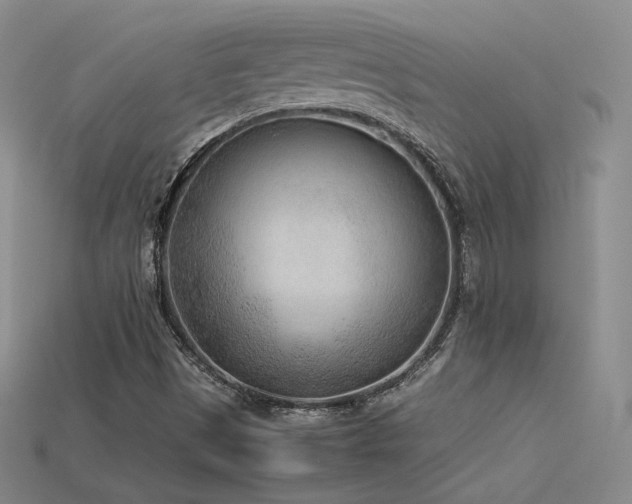X0000115781497200911131236
