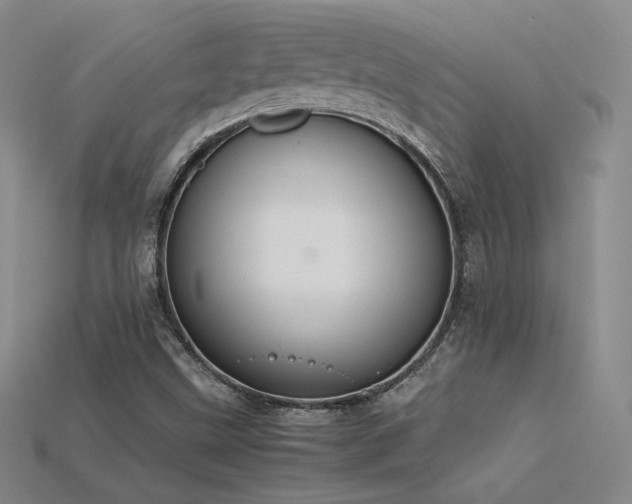 X0000115781499200911131236
