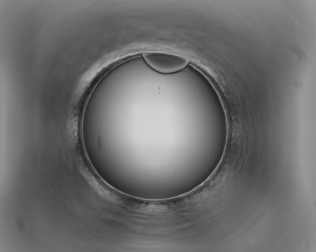 X0000115781503200911131236