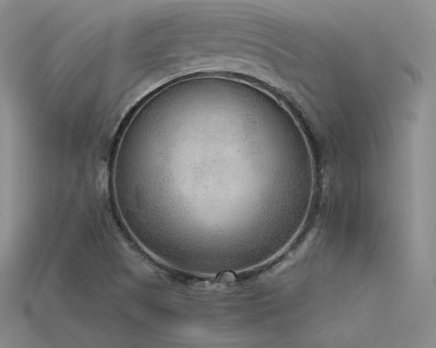 X0000115781505200911131236
