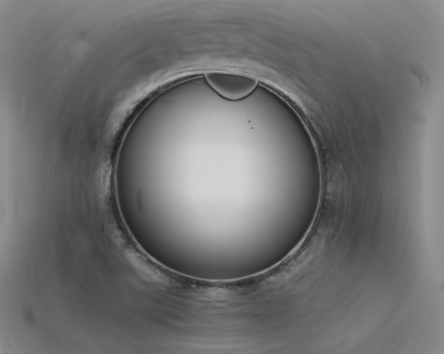 X0000115781507200911131236