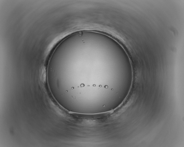 X0000115781509200911131236