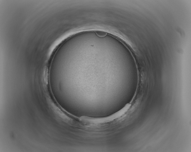 X0000115781510200911131236