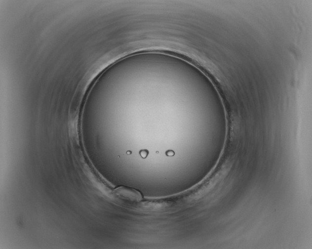 X0000115781513200911131236