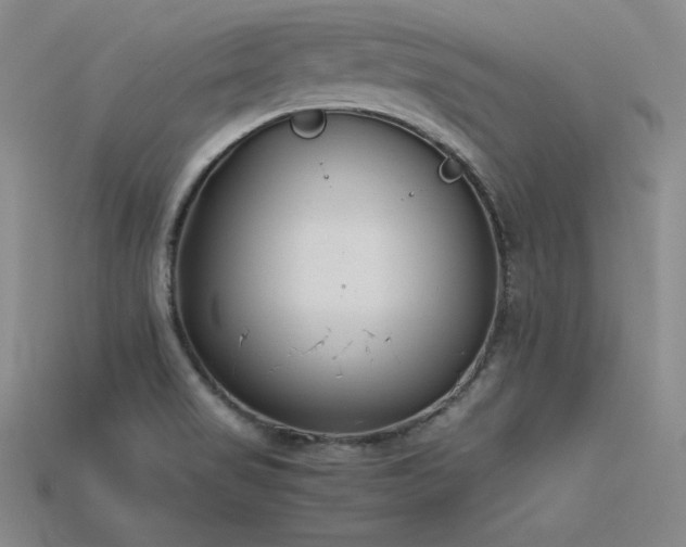 X0000115781517200911131236