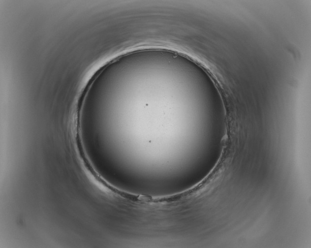 X0000115781519200911131236