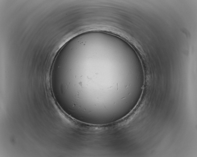 X0000115781521200911131237