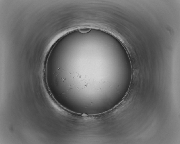 X0000115781523200911131237